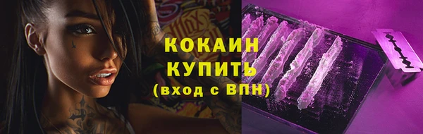 mdpv Бородино