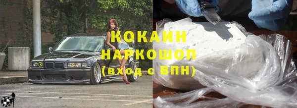 mdpv Бородино