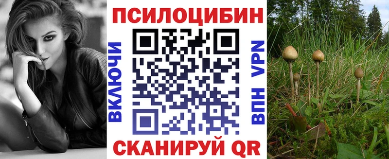 Псилоцибиновые грибы Psilocybine cubensis  Купить закладки  Наволоки 