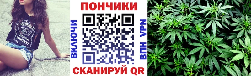 Бошки марихуана SATIVA & INDICA Наволоки
